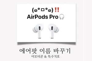 블로그 리뷰 스크린샷